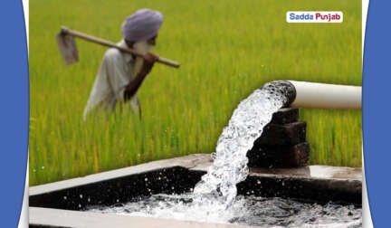 Punjabs agriculture and farming problems