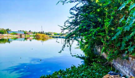 Punjabs water is going from purity to poison