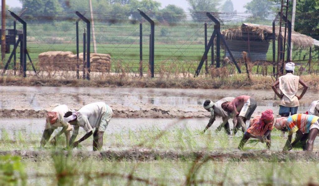 ਹੁਣ ਬਿਨਾ ਰੁਕਾਵਟ ਦੇ ਖੇਤੀ ਕਰ ਸਕਣਗੇ ਸਰਹੱਦੀ ਕਿਸਾਨ! ਜ਼ਮੀਨਾਂ ਦੇ ਟੋਟੇ ਵੀ ਵੱਧਣਗੇ ! 6 farming without interuption