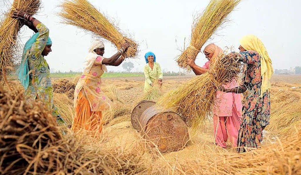 ਪੰਜਾਬੀ ਔਰਤਾਂ ਦੀ ਸਥਿਤੀ! ਲੰਮੇ ਇਤਿਹਾਸ ਤੋਂ ਅਜੋਕੇ ਸੰਘਰਸ਼ ਤੱਕ ਦੀ ਕਹਾਣੀ 7 Neglected and Unrecognized Labor