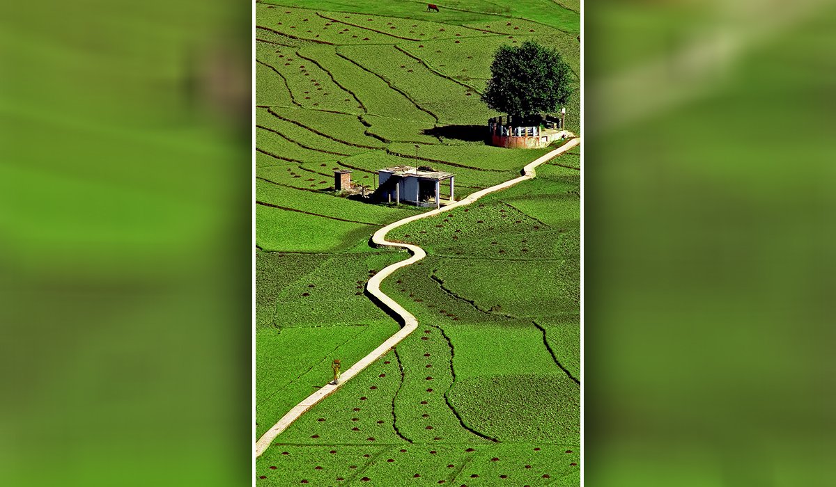 ਬਾਗੇਸ਼ਵਰ ਦਾ ਪਿੱਪਲ ਸਾਹਿਬ 3 Peepal Sahib of Bageshwar