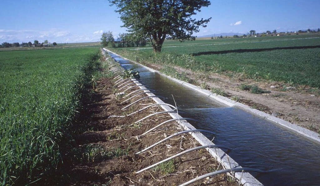 Role of canal irrigation