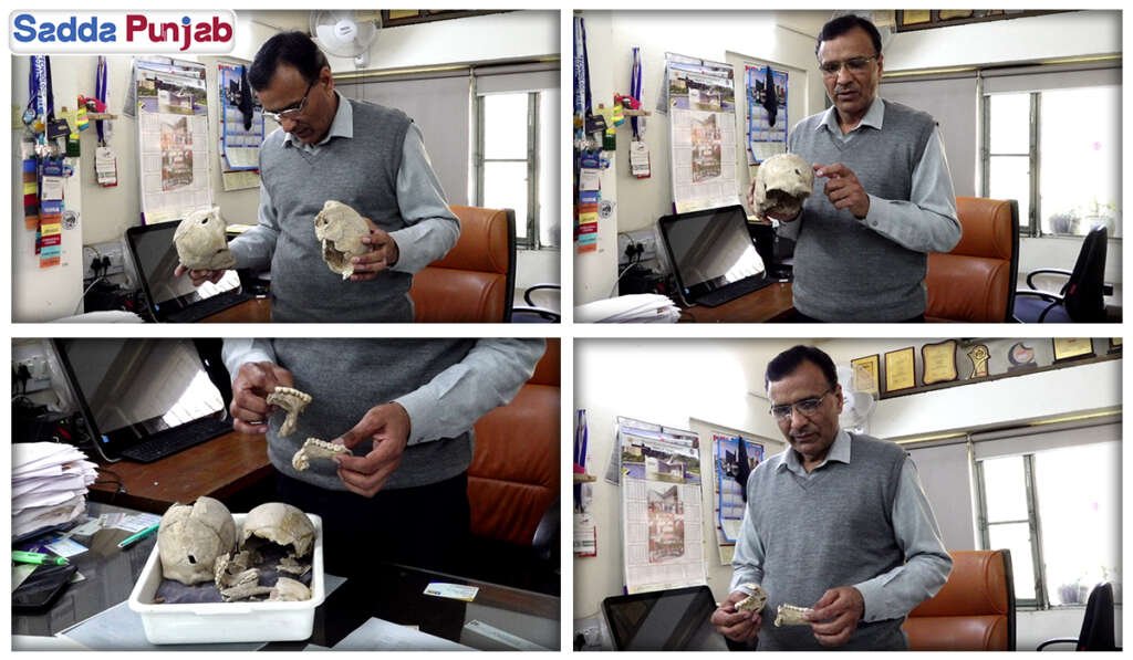 Several other important studies