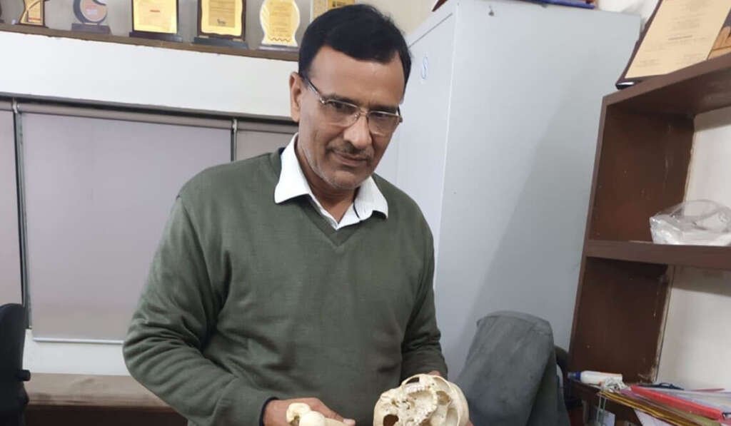 Strontium isotope analysis