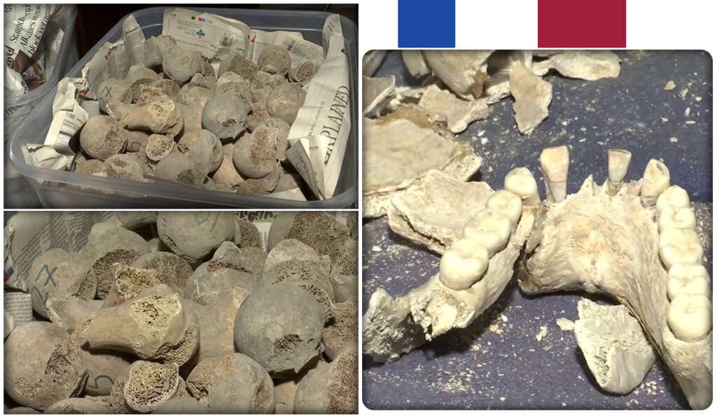 Teeth provide important clues in such studies