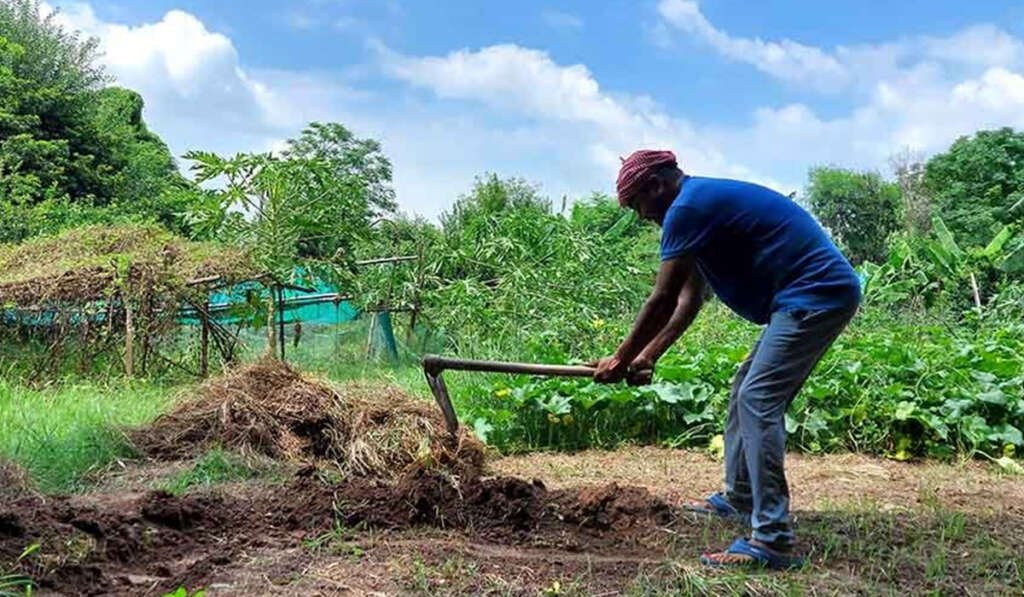 What is natural farming