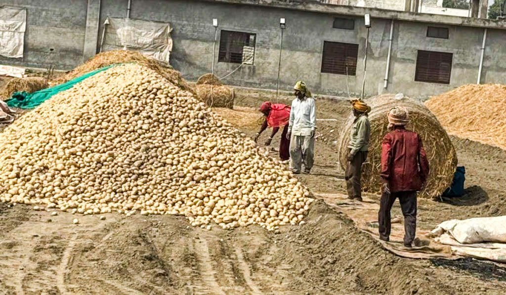 Governments are not ready