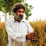 Waiting for the government to hold farmers hand