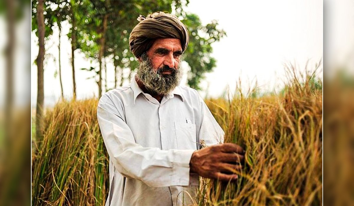 Waiting for the government to hold farmers hand