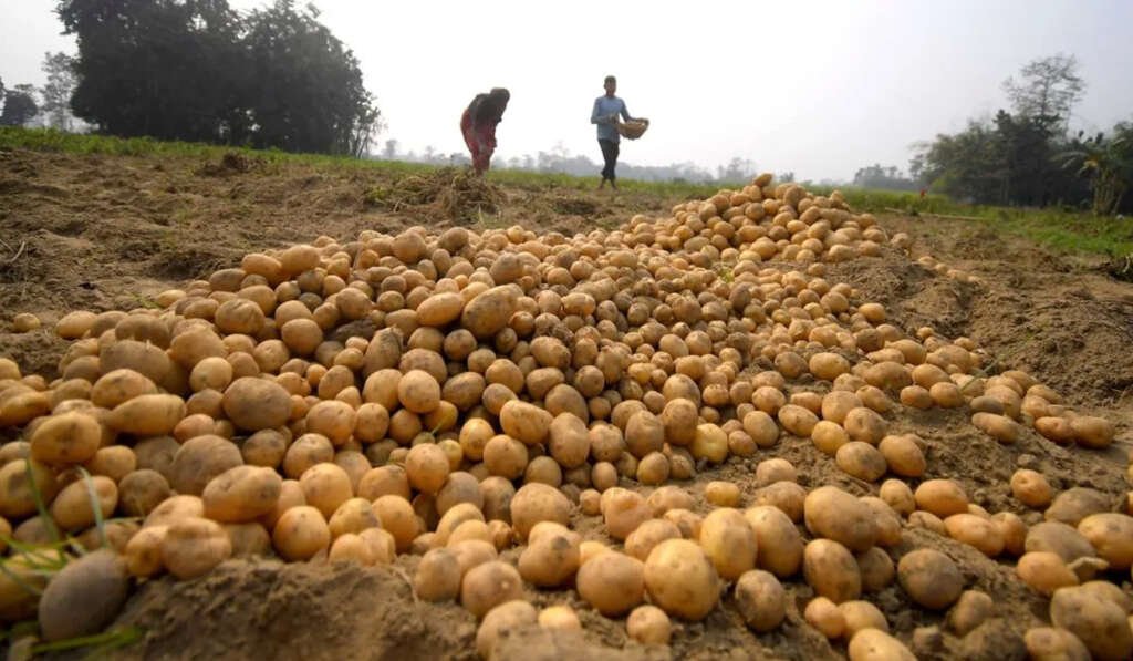 victim of economic recession