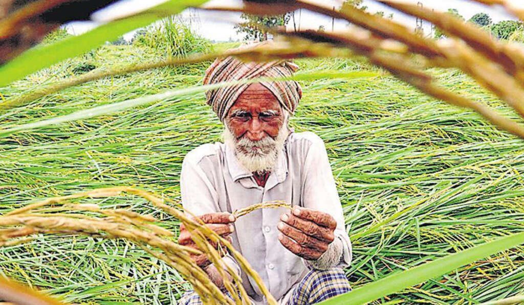 All crops must be sold at MSP