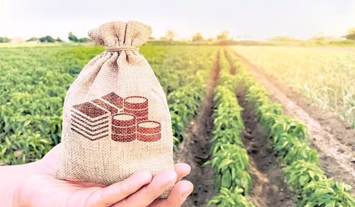 Farmers and Debt
