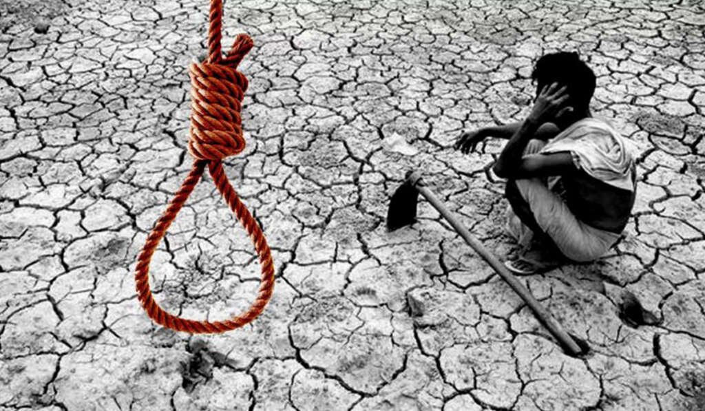 Government policies and natural damage to crops