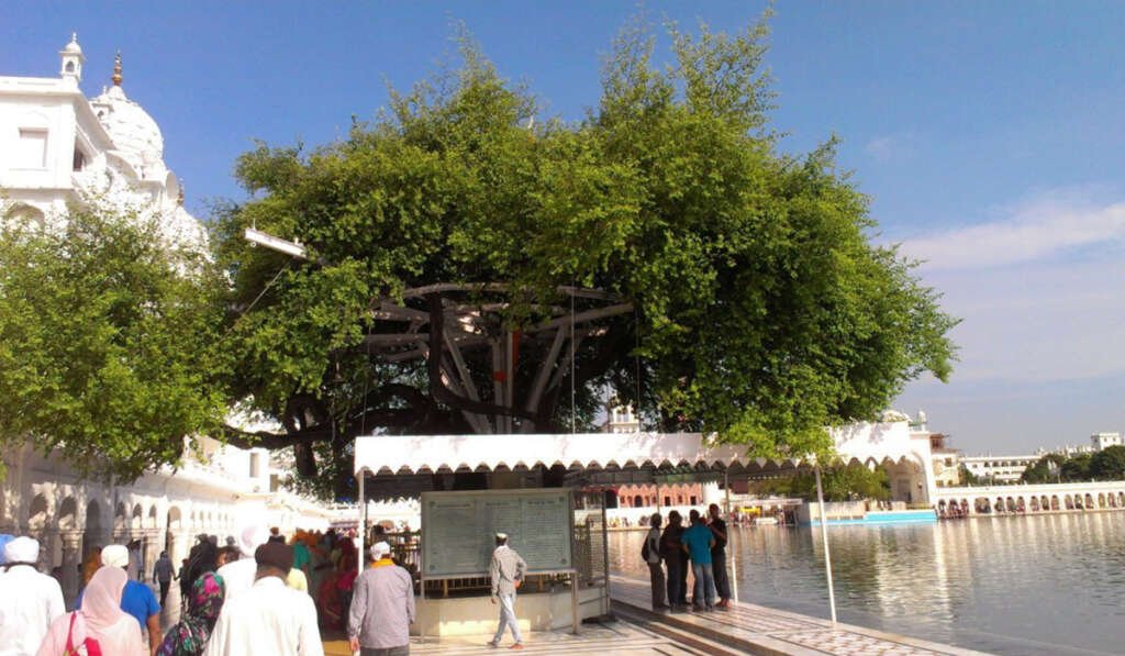 bir baba budha sahib