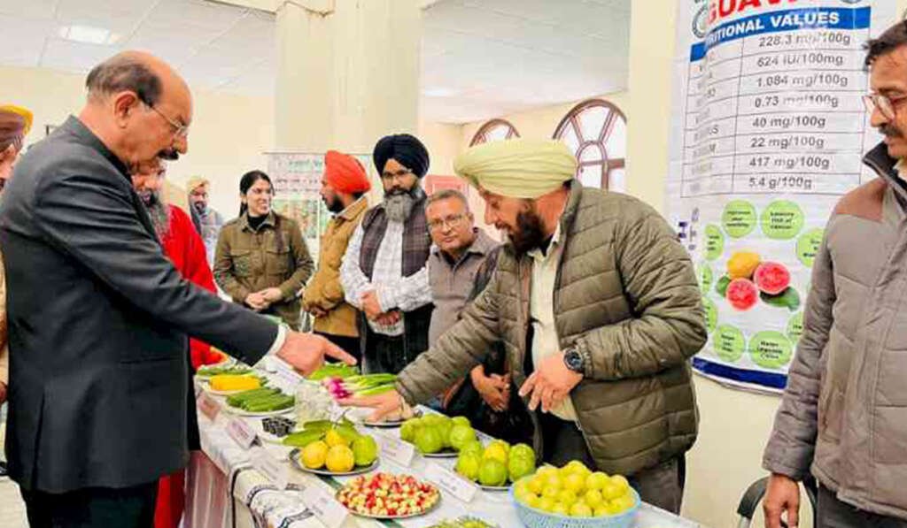 ਬਾਗਬਾਨੀ! ਸਿਰਫ਼ ਖੇਤੀ ਨਹੀਂ, ਇੱਕ ਉੱਨਤ ਵਿਗਿਆਨ 8 Contribution of Punjab Agricultural University in Horticulture