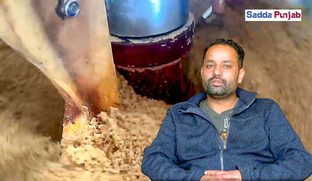 ਪੰਜਾਬ ਵੱਲ ਮੁੜਦੇ ਕਦਮ: ਵਿਦੇਸ਼ ਛੱਡ ਕੇ ਆਪਣੇ ਪਿੰਡਾਂ ‘ਚ ਕਾਮਯਾਬੀ ਦੀ ਨਵੀਂ ਕਹਾਣੀ ਲਿਖ ਰਹੀ ਜਵਾਨੀ 5 Harbir Singh