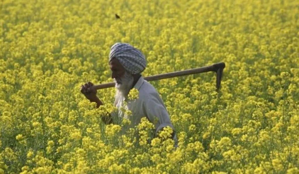 ਬਾਗਬਾਨੀ! ਸਿਰਫ਼ ਖੇਤੀ ਨਹੀਂ, ਇੱਕ ਉੱਨਤ ਵਿਗਿਆਨ 5 Horticulture in Punjab