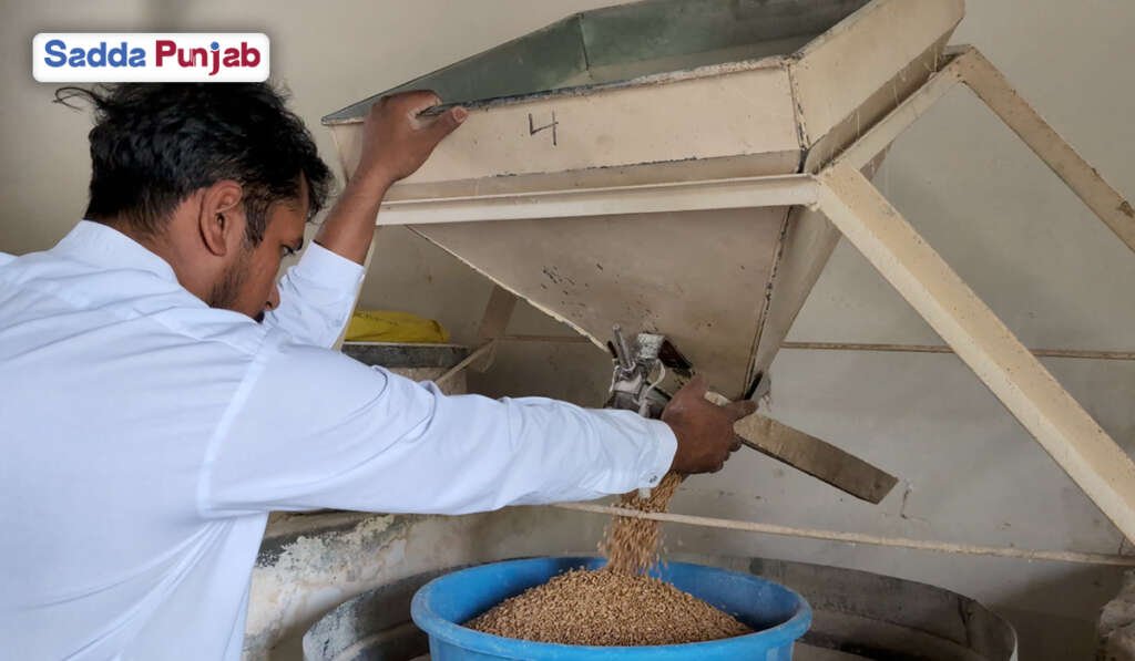 Milling of multigrain and various grains
