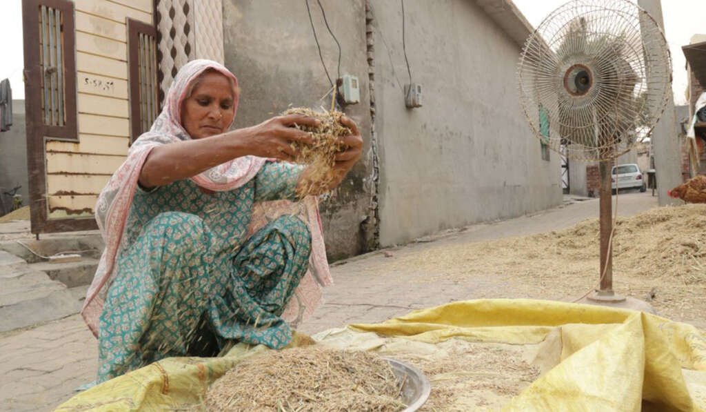 rural Punjab