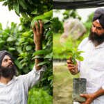 Gursimran Singh