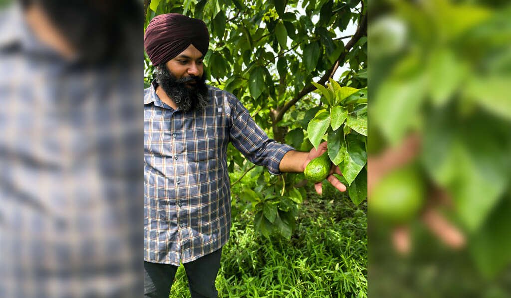 ਪੰਜਾਬ ਦੇ ਕਿਸਾਨ ਨੇ ਲਿਖੀ ਸਫ਼ਲਤਾ ਦੀ ਨਵੀਂ ਇਬਾਰਤ! ਸਿਰਫ਼ 4 ਏਕੜ ਜ਼ਮੀਨ 'ਤੇ 20 ਤੋਂ ਵੱਧ ਫਸਲਾਂ ਦੀ ਕਾਸ਼ਤ 4 New Experiments in Horticulture