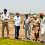 Will the crisis be removed from the fields of Punjab