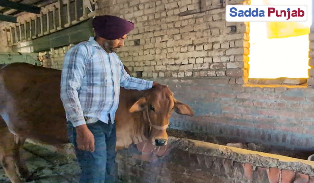 ਸਾਂਝੇ ਪੰਜਾਬ ਦੀ ਕਹਾਣੀ: ਜਿੱਥੇ ਰਿਸ਼ਤੇ ਧਰਮ ਨਾਲ ਨਹੀਂ, ਦਿਲਾਂ ਨਾਲ ਜੁੜਦੇ 9 mutual love affection and respect