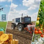 Future of Punjab Agriculture