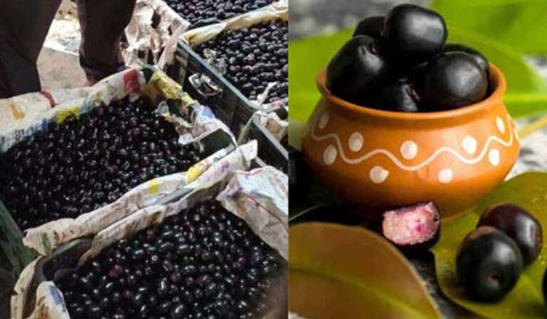Asias First Jamun Market