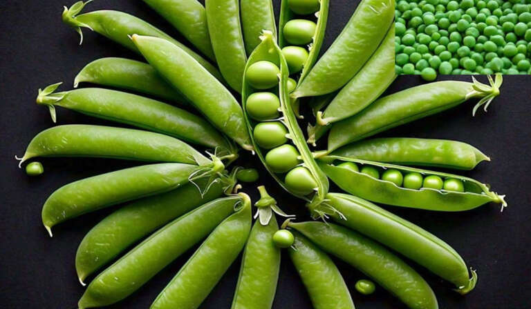 Difference between commercial farming and home gardening 768x448 1