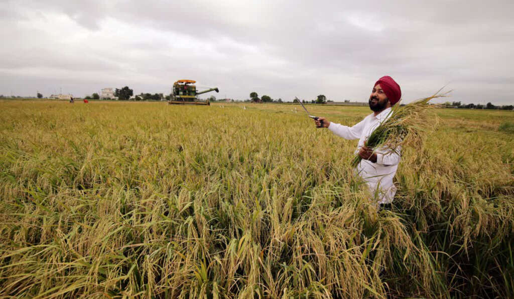 ਜਿਸ ਪੰਜਾਬ ਦੀ ਮੈਂ ਕਾਮਨਾ ਕਰਦਾ ਹਾਂ 5 From Paddy to Prosperity