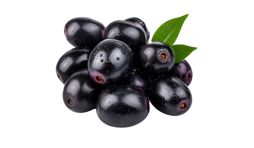 ਪੰਜਾਬ ’ਚ ਬਣੇਗੀ ਏਸ਼ੀਆ ਦੀ ਪਹਿਲੀ ਜਾਮਣ ਮੰਡੀ 9 JAMUN 8