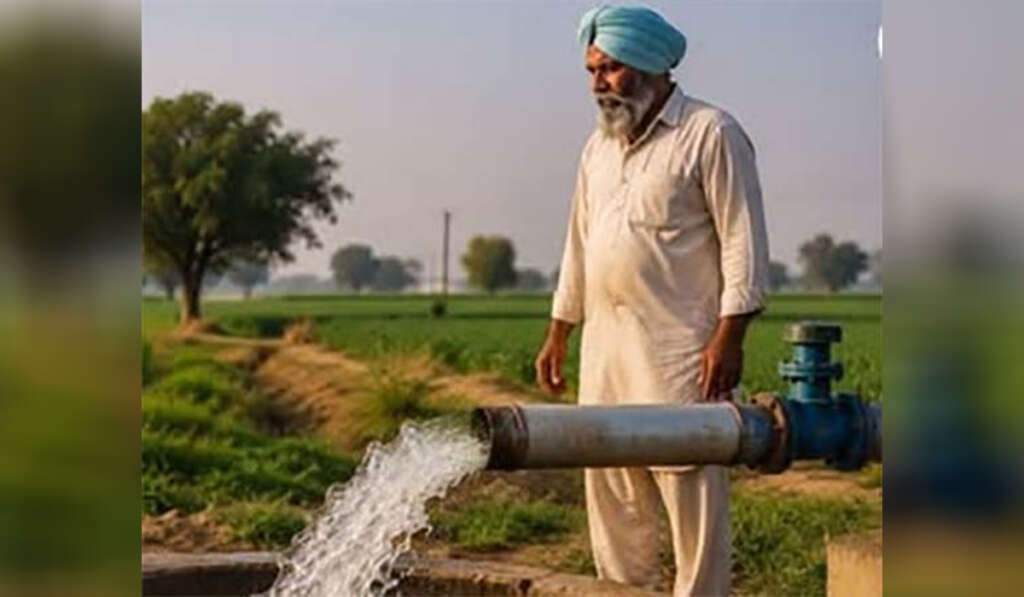 ਪੰਜਾਬ ’ਚ ਬਣੇਗੀ ਏਸ਼ੀਆ ਦੀ ਪਹਿਲੀ ਜਾਮਣ ਮੰਡੀ 8 Jamun black plum farming i