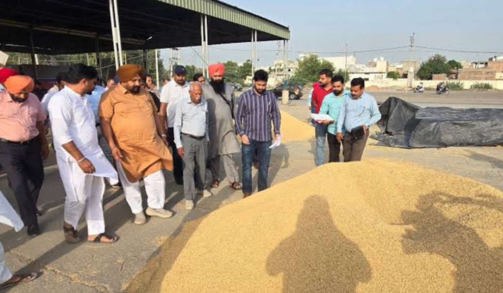 ਪੰਜਾਬ ਪੇਪਰਜ਼ ਭਾਗ II — ਵੰਡ ਤੋਂ ਖੜੋਤ ਤੱਕ: ਲੇਖਾ-ਜੋਖਾ — ਕੀ ਕੀਤਾ ਗਿਆ, ਕਿਸ ਨੇ ਕੀਤਾ ਅਤੇ ਕੀ ਪੰਜਾਬ ਅਜੇ ਵੀ ਮੁੜ ਉੱਠ ਸਕਦਾ ਹੈ? 8 Paddy purchase