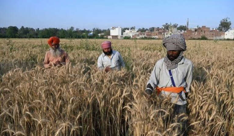 Real Income of Punjabs Farmers