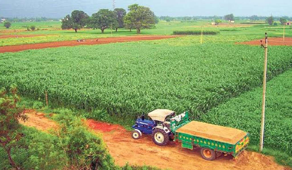 ਪੰਜਾਬ ਦੇ ਕਿਸਾਨਾਂ ਦੀ ਅਸਲ ਆਮਦਨ; ਵਿੱਤੀ ਸੰਕਟ ਅਤੇ ਕਰਜ਼ੇ ਦਾ ਸੱਚ 8 The Situation of Farmers in Other States of the Country