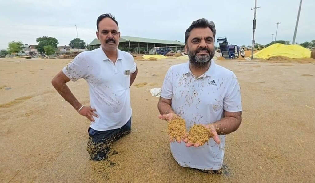 ਬੇਮੌਸਮੀ ਬਰਸਾਤ: IPL ਮੈਚ ਲਈ ਤਰਪਾਲਾਂ ਅਤੇ ਮੰਡੀਆਂ 'ਚ ਫ਼ਸਲਾਂ ਢੱਕਣ ਲਈ ਲੀਰ ਵੀ ਨਹੀਂ? 4 difficulties faced by farmers