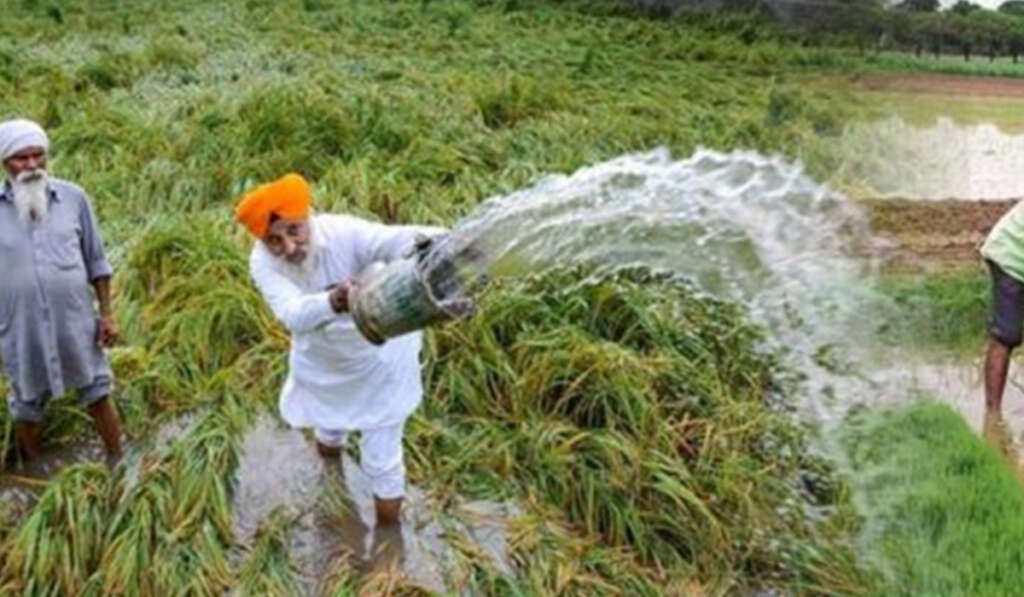 ਬੇਮੌਸਮੀ ਬਰਸਾਤ: IPL ਮੈਚ ਲਈ ਤਰਪਾਲਾਂ ਅਤੇ ਮੰਡੀਆਂ 'ਚ ਫ਼ਸਲਾਂ ਢੱਕਣ ਲਈ ਲੀਰ ਵੀ ਨਹੀਂ? 9 farmer mental well being