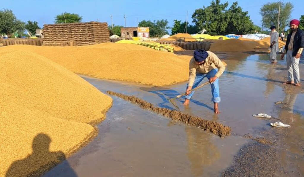 ਬੇਮੌਸਮੀ ਬਰਸਾਤ: IPL ਮੈਚ ਲਈ ਤਰਪਾਲਾਂ ਅਤੇ ਮੰਡੀਆਂ 'ਚ ਫ਼ਸਲਾਂ ਢੱਕਣ ਲਈ ਲੀਰ ਵੀ ਨਹੀਂ? 10 fundamental problems persist