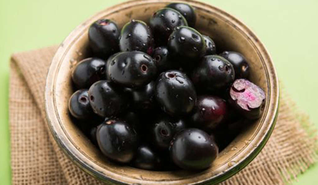 ਪੰਜਾਬ ’ਚ ਬਣੇਗੀ ਏਸ਼ੀਆ ਦੀ ਪਹਿਲੀ ਜਾਮਣ ਮੰਡੀ 6 jamun great taste