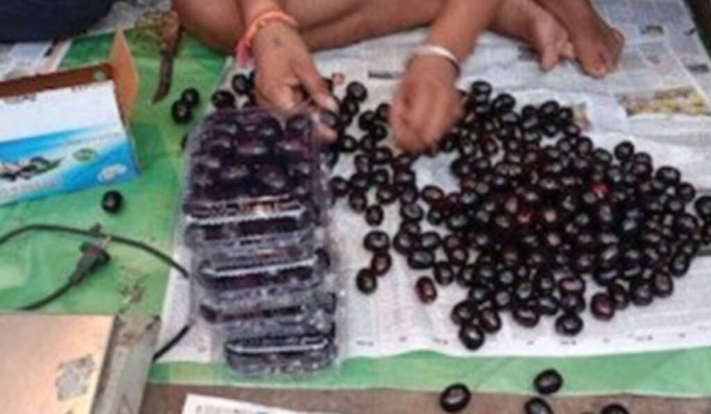 ਪੰਜਾਬ ’ਚ ਬਣੇਗੀ ਏਸ਼ੀਆ ਦੀ ਪਹਿਲੀ ਜਾਮਣ ਮੰਡੀ 5 new market in Arniwala